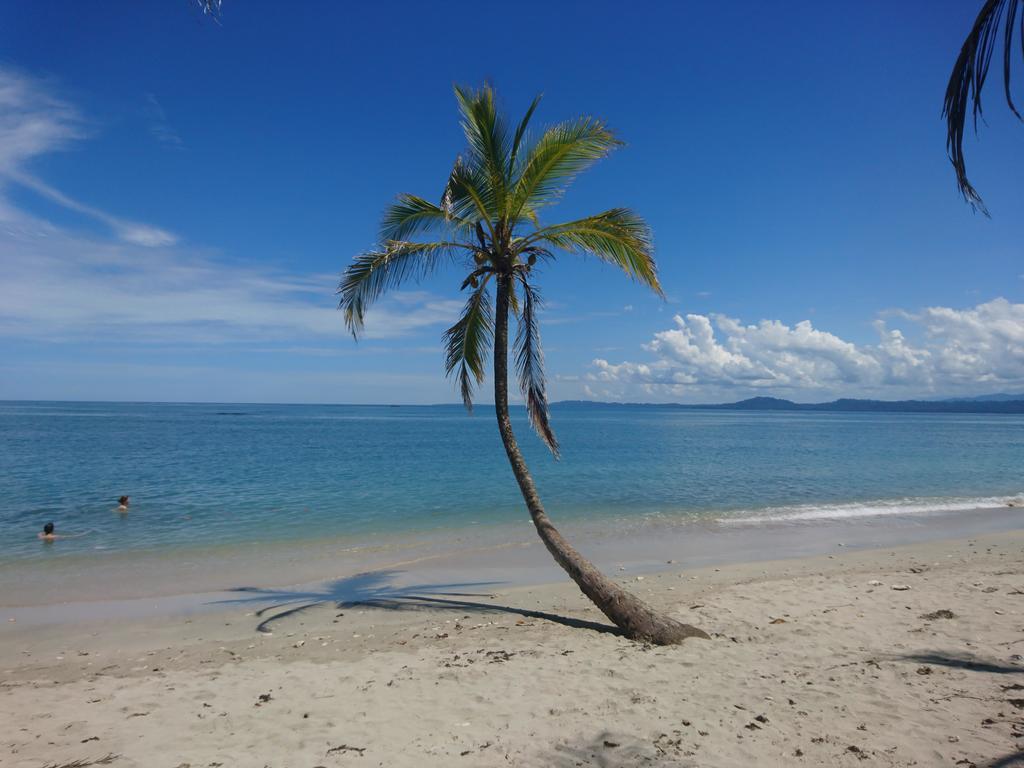 Casa Verde, Cahuita Exteriör bild